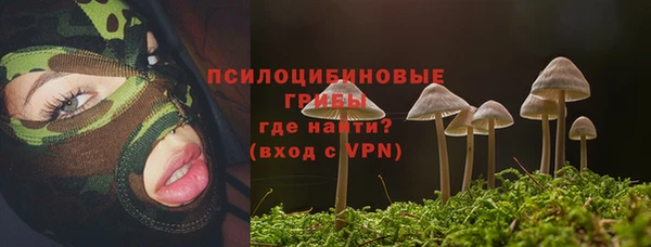 мяу мяу мука Абдулино