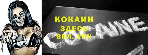 хмурый Магас