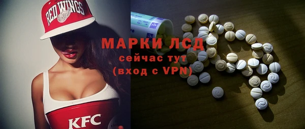 хмурый Магас