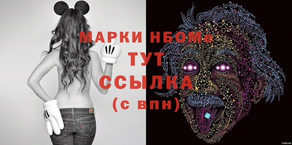 хмурый Магас