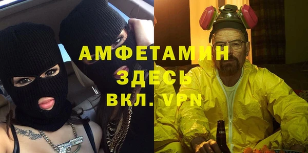хмурый Магас