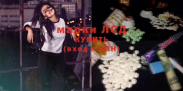 хмурый Магас
